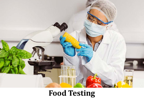 Food Testing Lab in Ghaziabad – Ensuring Safety, Quality & Trust | EKO Testing Labs